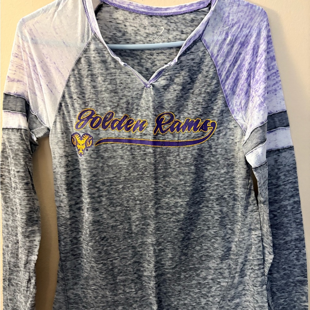 Colosseum Purple and Gray Shirt